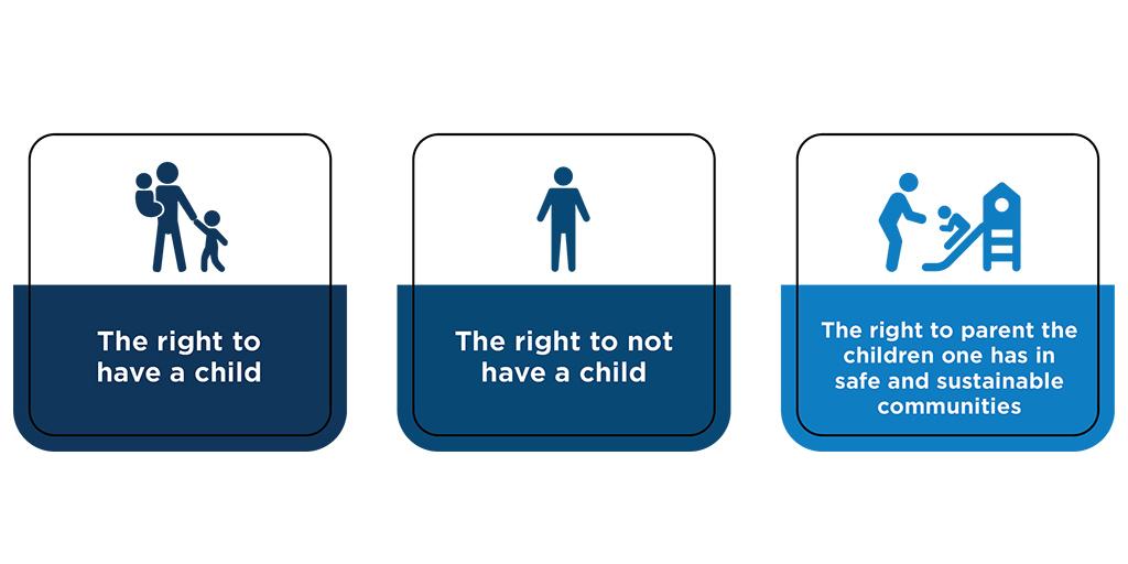 Figure 1 reproductive justice framework